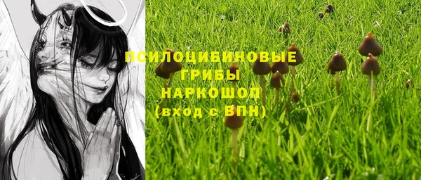 молекула духа Баксан