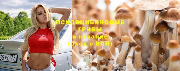 молекула духа Баксан